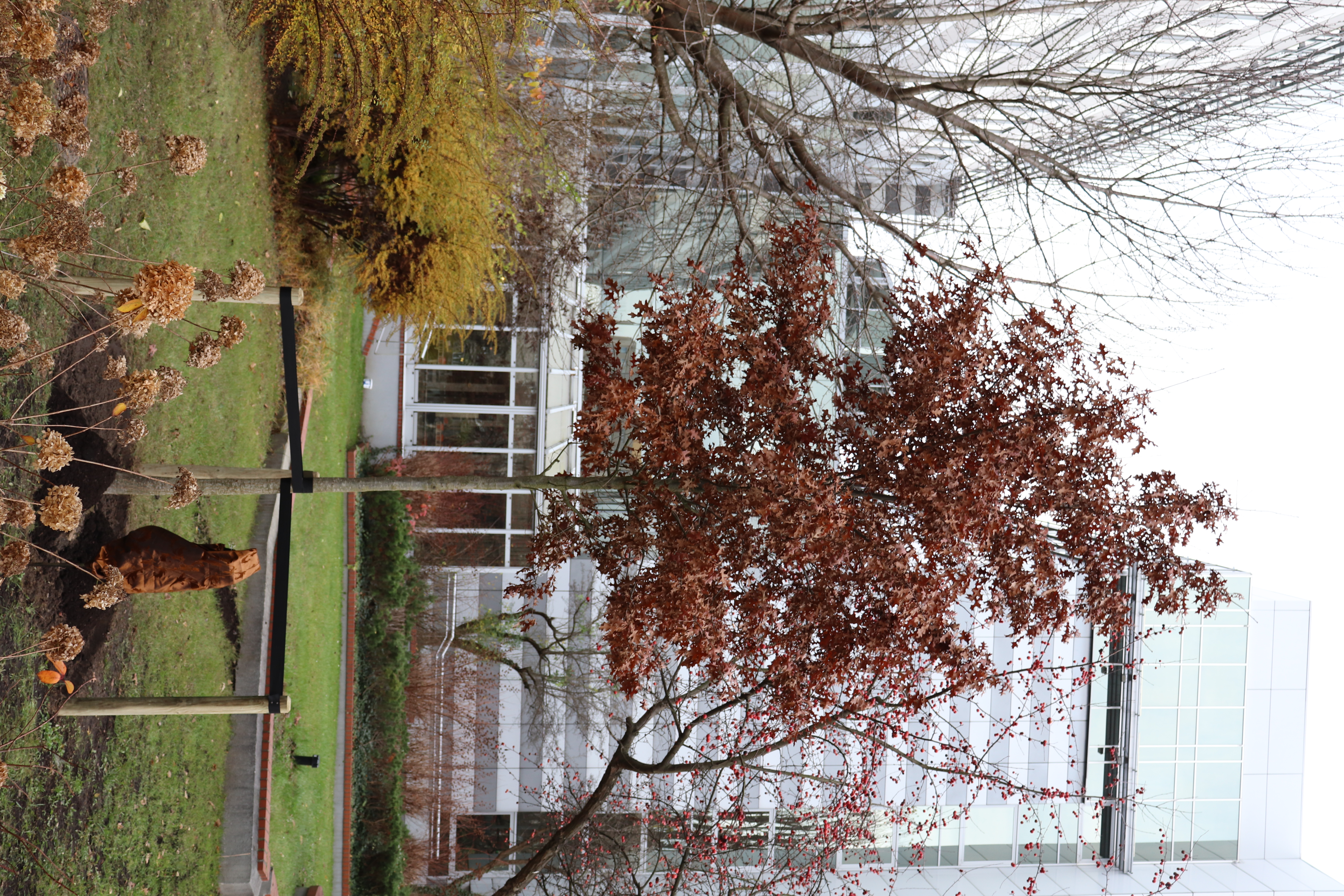 Uroczyste odsłonięcie tablicy pamiątkowej dr. Bartłomieja Michałowicza na Wydziale Zarządzania UW