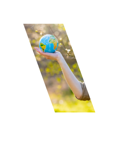 Polityka klimatyczna i zarządzanie ochroną środowiska oraz transformacją energetyczną w wymiarze lokalnym