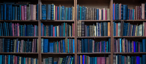 Biblioteka WZ UW podczas studiów podyplomowych